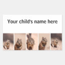 Recherche de chipmunk autocollants Mignon