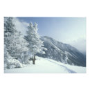 Suche nach webster poster Winter