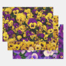 Suche nach lila stiefmütterchen geschenkpapier Blume