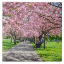 Recherche de cerise carreaux Floral