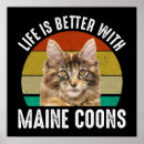 Suche nach maine coon poster Kätzchen