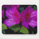 Suche nach georgia mousepads Savanne