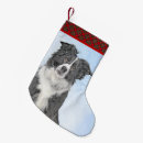 Recherche de colley chaussette de noël Pour tous