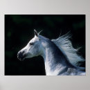 Suche nach arabische sprache poster Grau