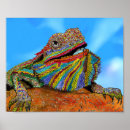 Suche nach bearded dragon poster Reptile