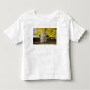 Recherche de gatlinburg tshirts Extérieur