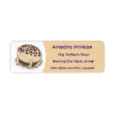 Suche nach frösche andere rücksende aufkleber Cartoon