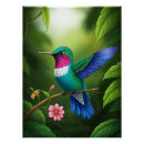 Suche nach kolibri poster Farbenfroh