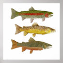Recherche de commun posters Mouche
