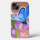 Recherche de photos de papillon coques Papillons