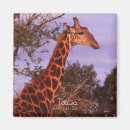 Suche nach nacken magnete Giraffe