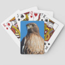 Recherche de queue jeux de cartes Faucon à queue rouge