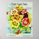 Suche nach vintage flowers poster Colorful