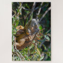 Recherche de lézard puzzles Photographie de la nature