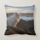 Recherche de aucunes personnes coussins Horizontal