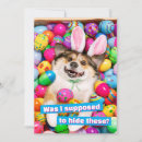 Suche nach lustiges ostern einladungen Avanti press