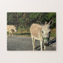 Recherche de donkey puzzles Pets