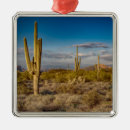 Suche nach phoenix ornamente Vereinigte staaten
