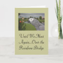 Recherche de oiseau animaux articles Birds
