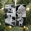 Suche nach lustiger hund ornamente Humorvoll