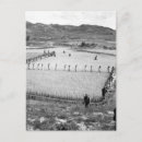 Recherche de prisonniers cartes postales Images de guerre