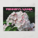 Recherche de pennsylvanie cartes postales Région