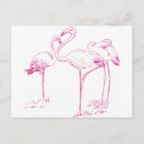 Suche nach flamingo rosa postkarten Tier