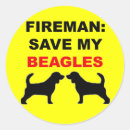 Recherche de beagles cadeau emballages Dogs