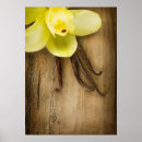 Suche nach aroma poster Bohnen