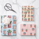 Recherche de succulents papier cadeau Cactus