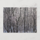 Suche nach icy postkarten Winter