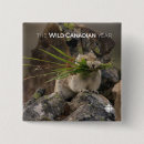 Recherche de télévision badges Cbc