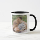 Recherche de marmottes tasses Fleur sauvage