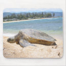 Suche nach honu elektronik zubehör Schildkröten