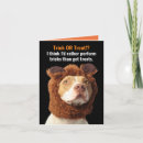 Suche nach pitbulls Terrier