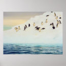 Suche nach adelie penguin poster Ice