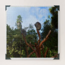 Recherche de koala puzzles Faune