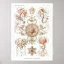 Recherche de modèle anatomique posters Vintage