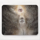 Recherche de bouteur tapis souris Drôle