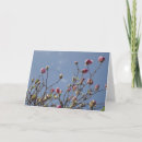 Suche nach magnolien blumen karten Quelle