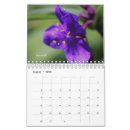 Suche nach lila kalender Blumen