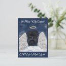 Suche nach affenpinscher postkarten Affenpinscher dog ohrfeigen