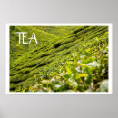 Suche nach für teeliebhaber poster Teegeschenke