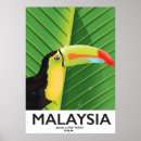Recherche de exotic posters Toucan