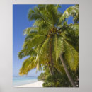 Suche nach insel poster Meer