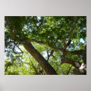 Suche nach greem poster Baum