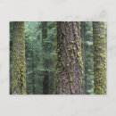Recherche de raymond cartes postales Parc