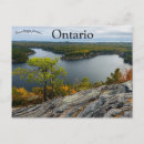 Recherche de provincial cartes postales Forêt