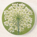 Suche nach spitz untersetzer Natur