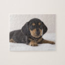 Suche nach miniatur puzzle Tier